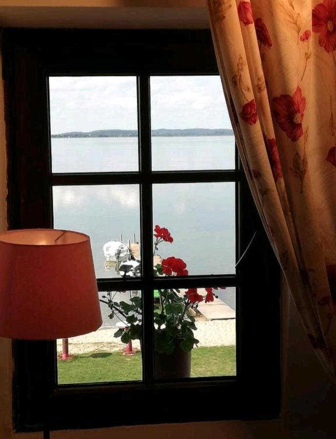 Bed and Breakfast Wiatrak Nowe Guty Esterno foto